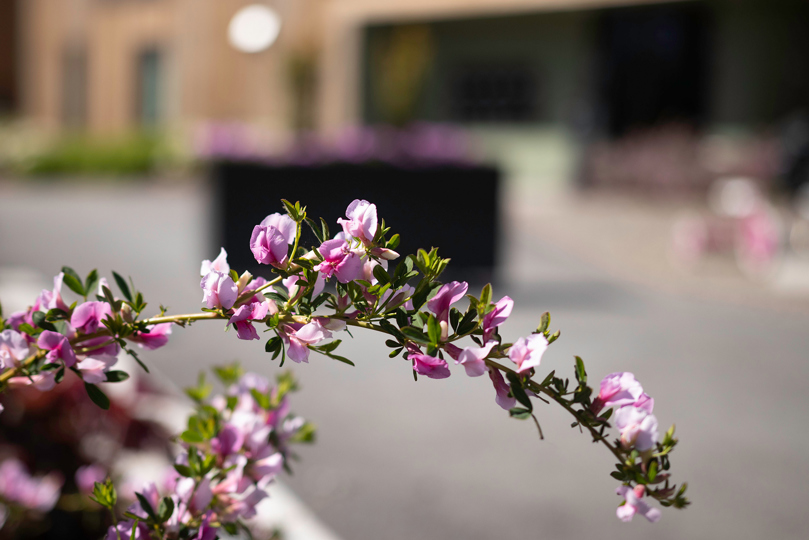 Finketunet Groteig 5