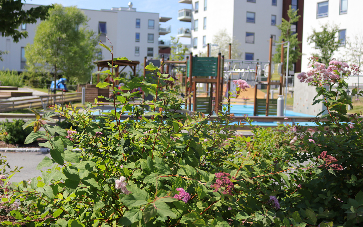 Nansenparken Bhg Groteig 3