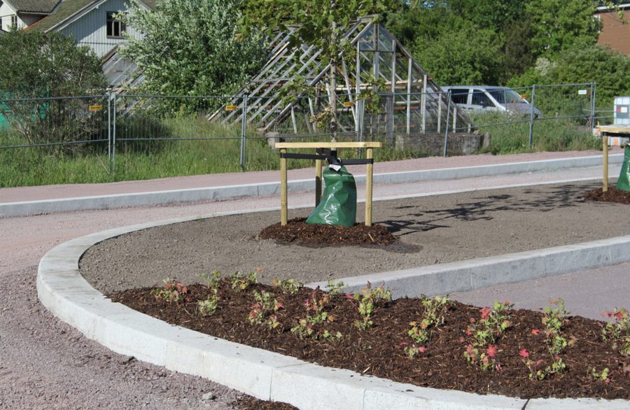 IMG 1326 1 E1499855929335