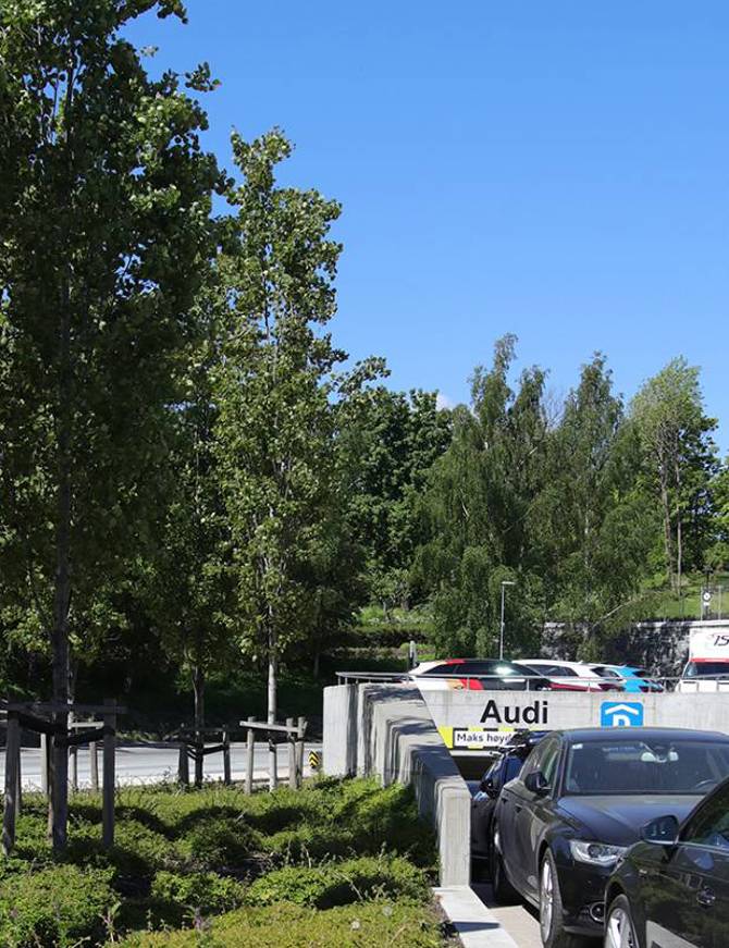 Moller Mustad Groteig Hovedbilde