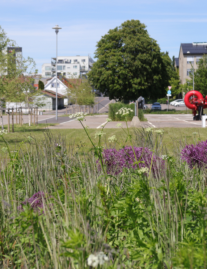 Horten Havn Groteig 6