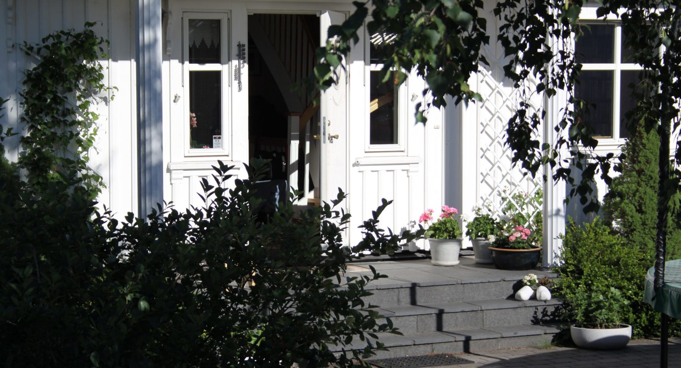 Img 1518 E1499856569202