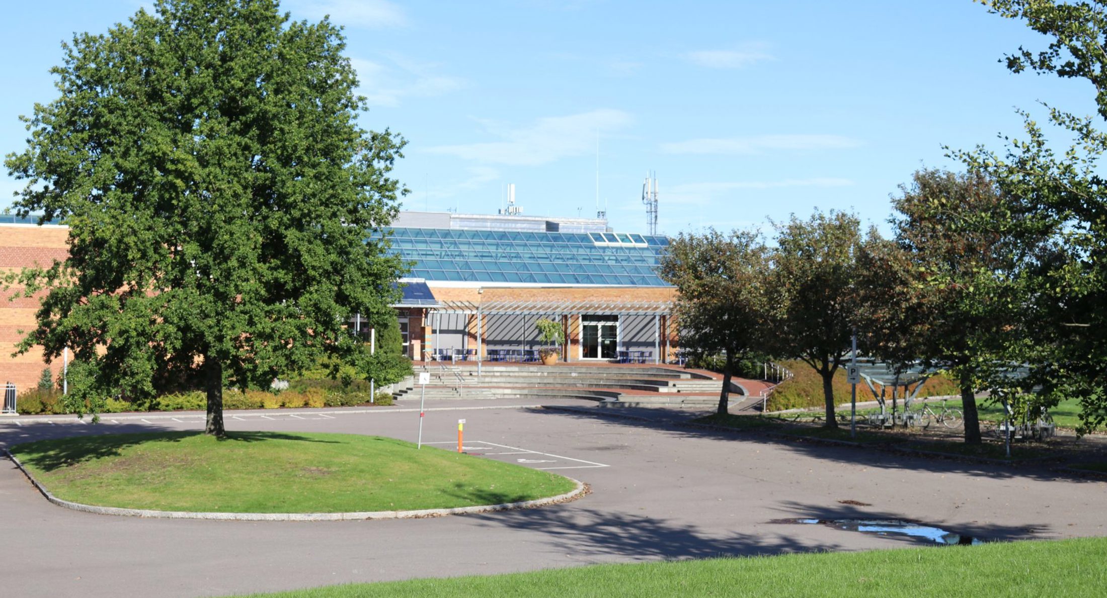 IMG 0199 E1580299478813