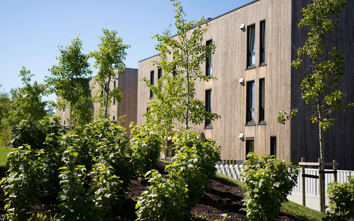 Finketunet Groteig 8