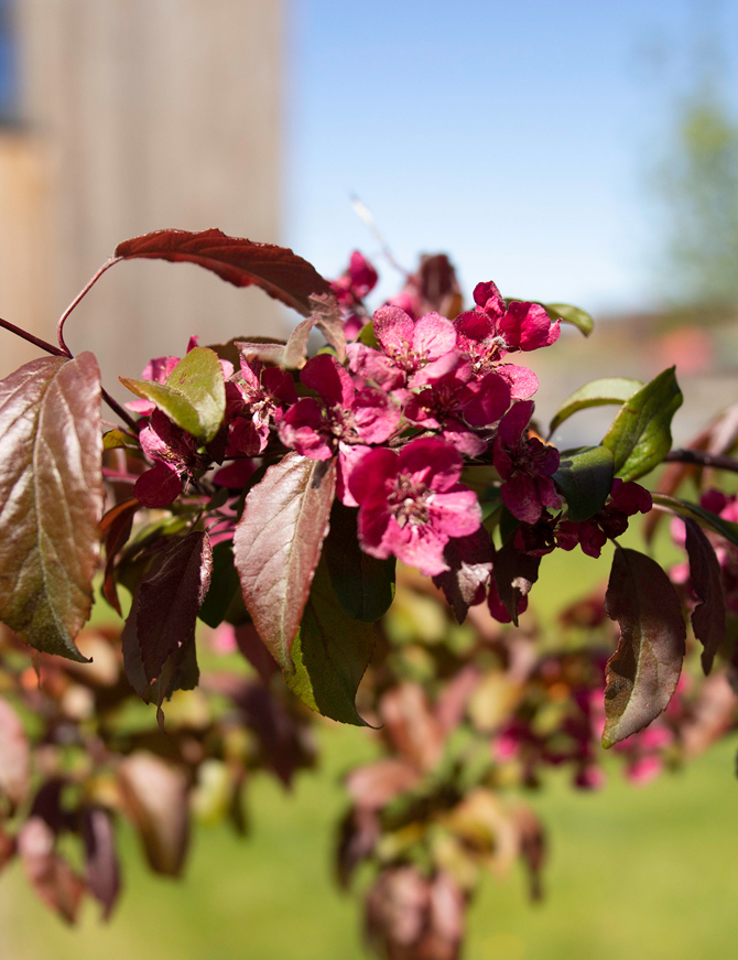 Finketunet Groteig 7