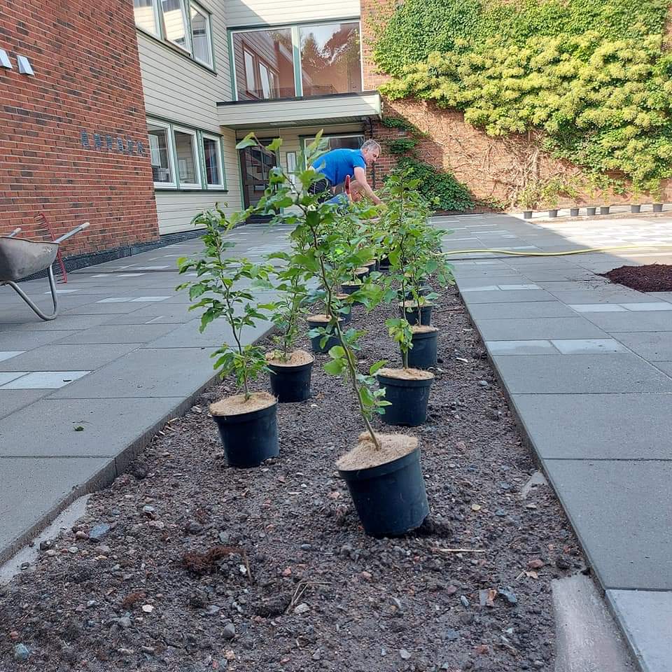 Grøntområde etableres