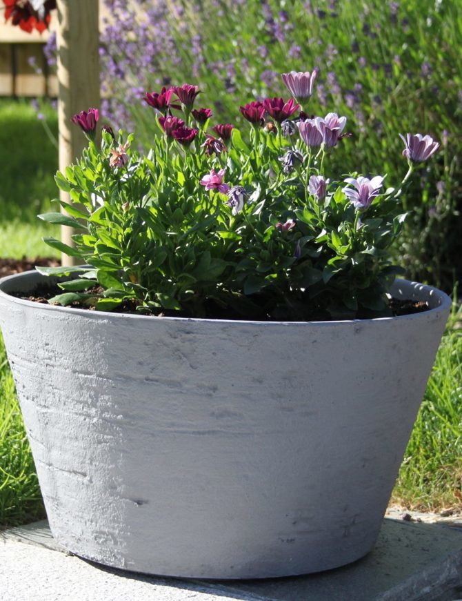 IMG 1494 E1499856697297