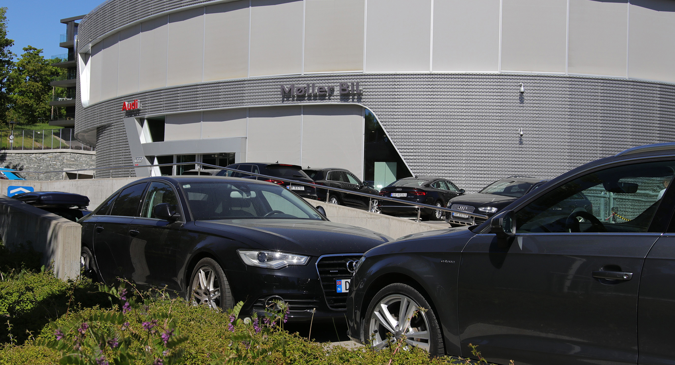 Moller Mustad Groteig 1