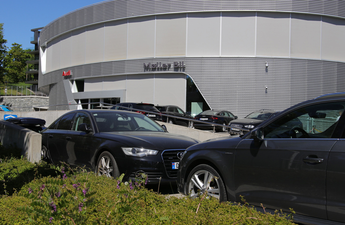 Moller Mustad Groteig 1