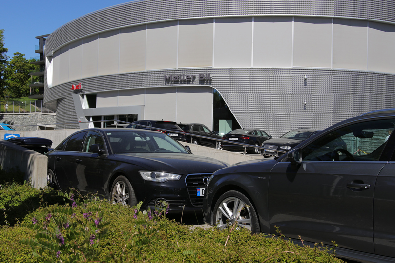 Moller Mustad Groteig 1