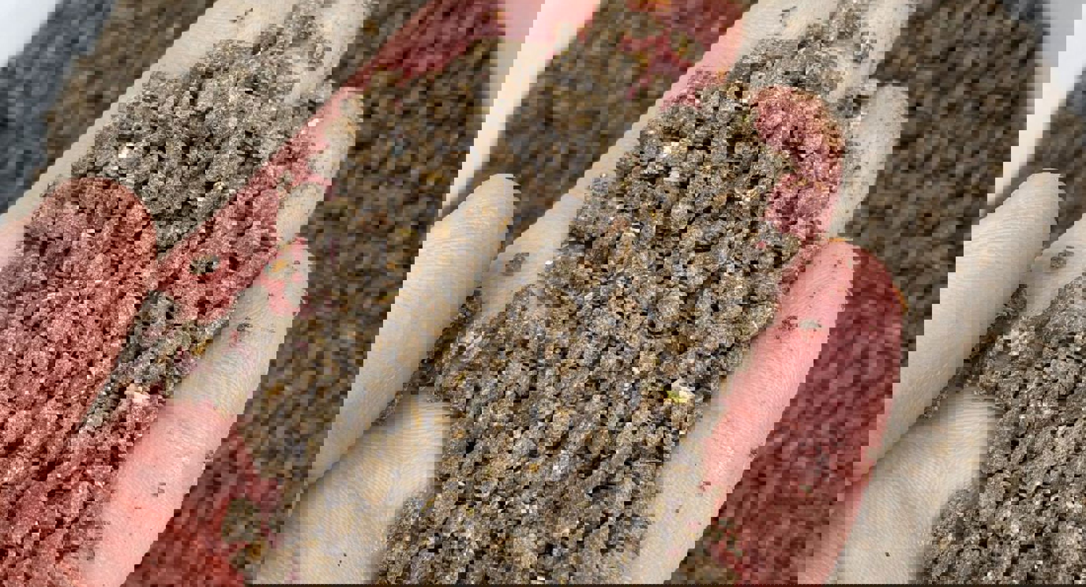 Næring til plantene