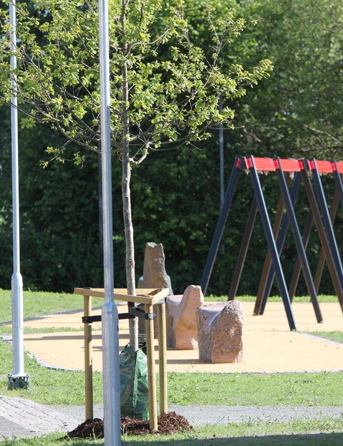 IMG 0688 E1499857177758