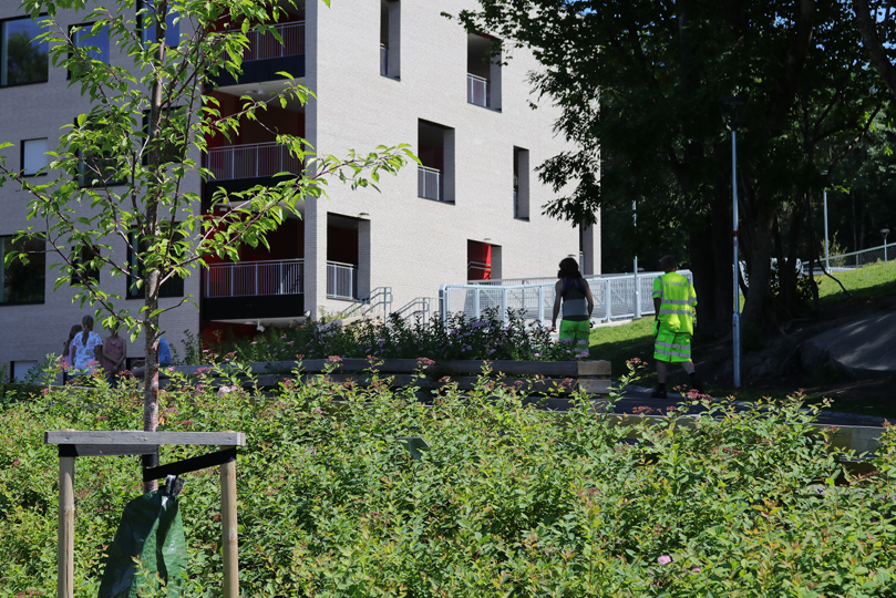 Bekkestua Skole Groteig 4