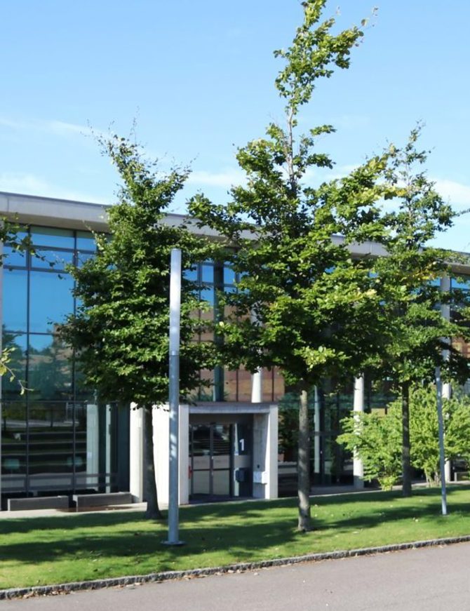 IMG 0206 E1580972727986