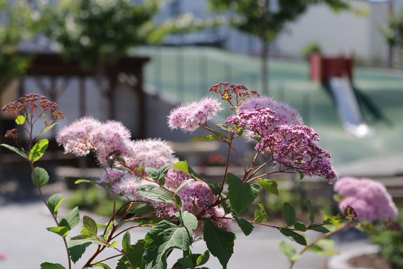 Nansenparken Bhg Groteig 4