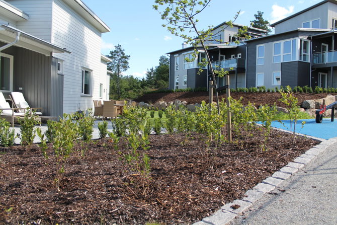 Vearåsen boligområde