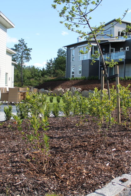 Vearåsen boligområde