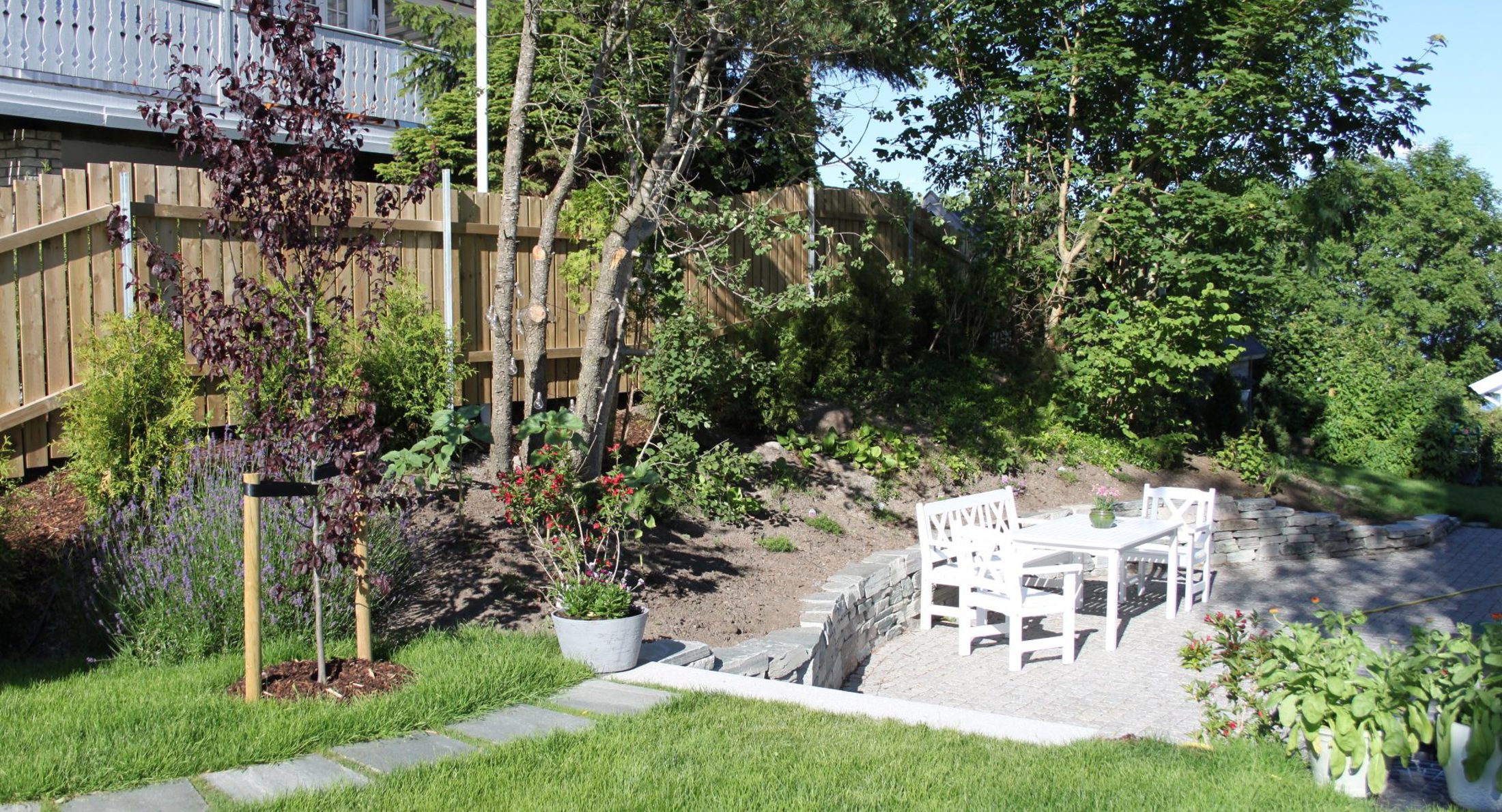 IMG 1493 E1499856718946