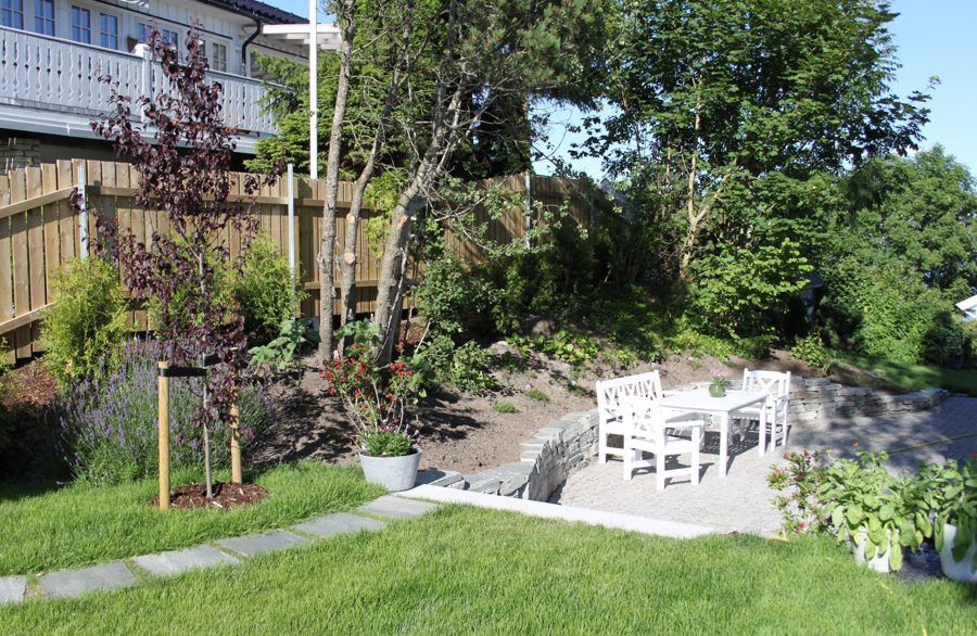 IMG 1493 E1499856718946