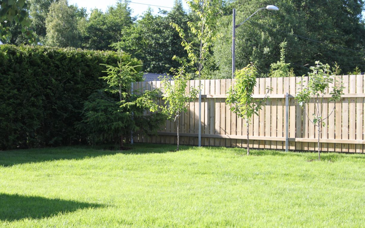 IMG 1488 E1499856729865