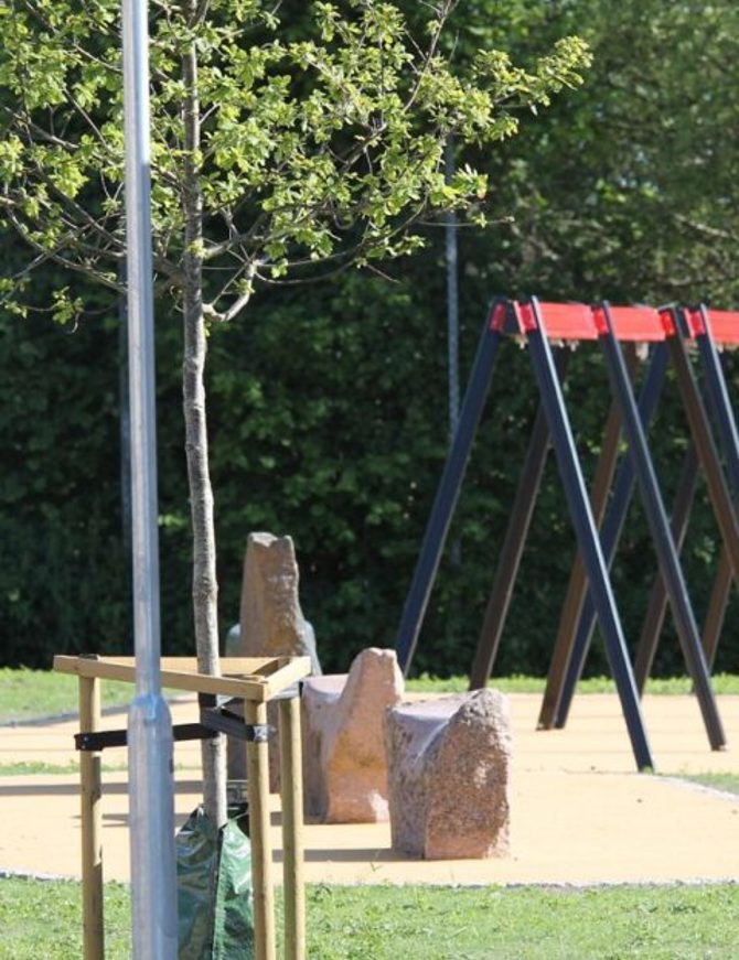 Granlyskole Ref 480X784