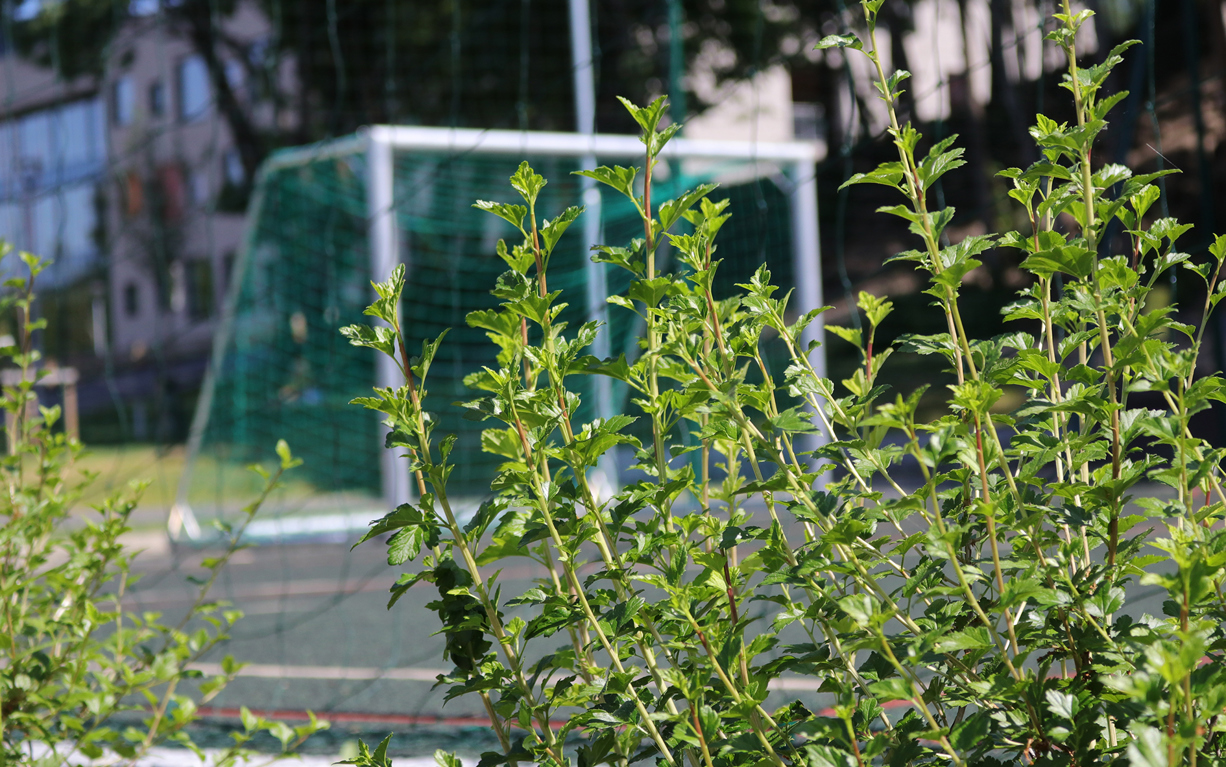 Bekkestua Skole Groteig 7