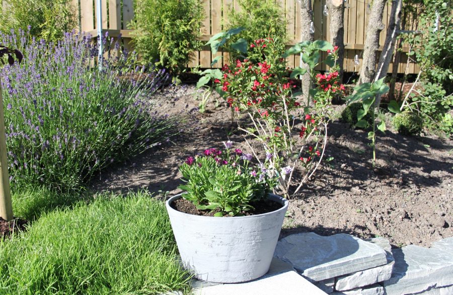 IMG 1495 E1499856685947